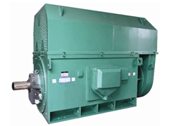 Y7107-6Y系列6KV高压电机
